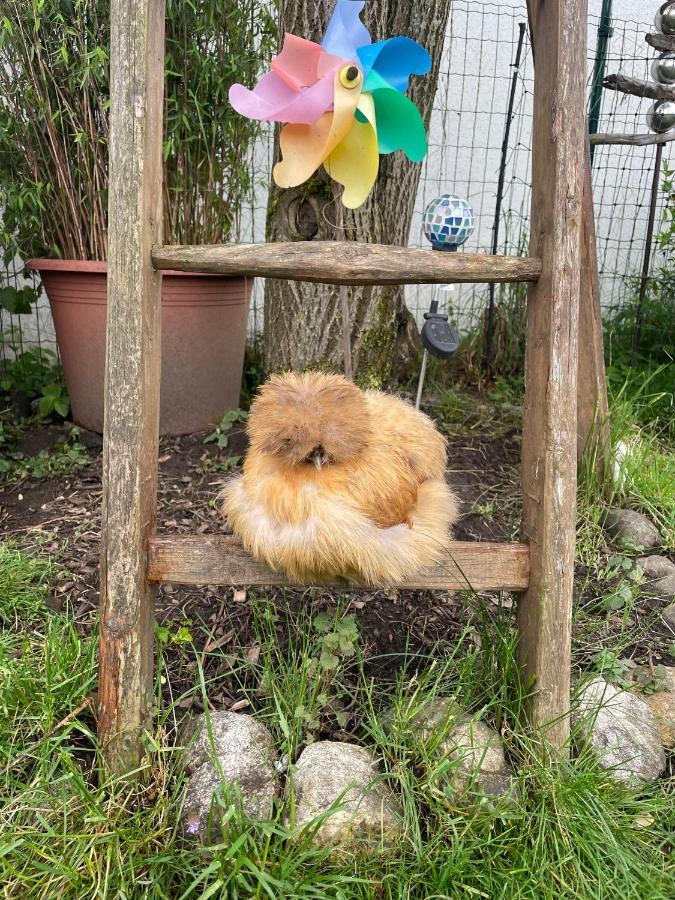 Ferienwohnung Seidenhuhn Kiefersfelden Bagian luar foto
